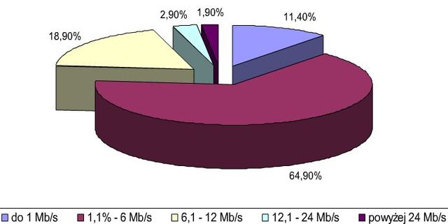 Sektor MSP w Polsce a łącza internetowe