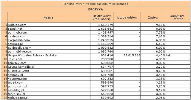 Megapanel: serwisy tematyczne I 2011