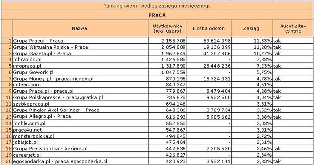 Megapanel: serwisy tematyczne I 2011