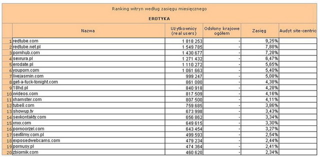 Megapanel: serwisy tematyczne II 2013