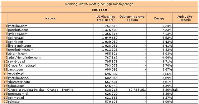 Megapanel: serwisy tematyczne IV 2011