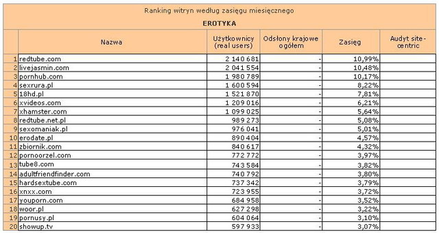 Megapanel: serwisy tematyczne V 2012