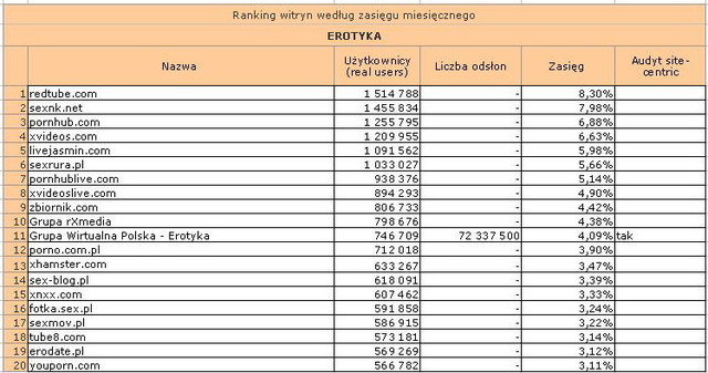 Megapanel: serwisy tematyczne XI 2010