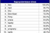 Wyszukiwarki: najpopularniejsze zapytania 2004