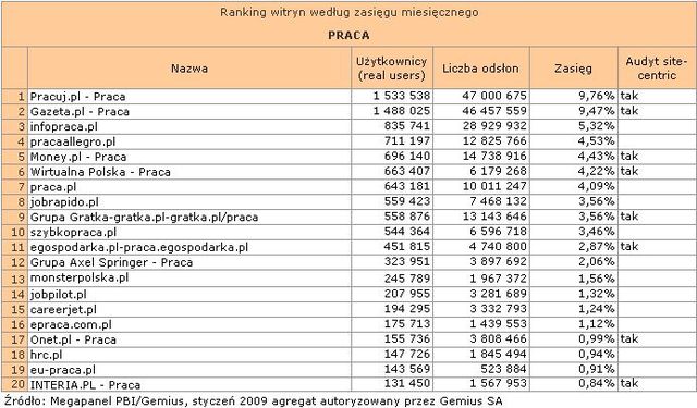 Megapanel: serwisy tematyczne I 2009