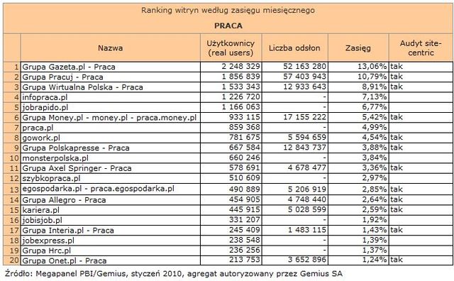 Megapanel: serwisy tematyczne I 2010