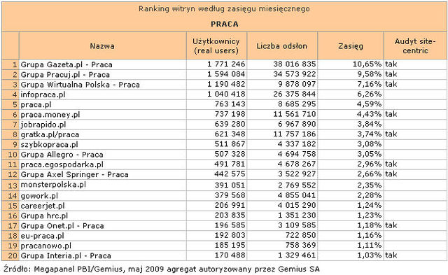 Megapanel: serwisy tematyczne V 2009