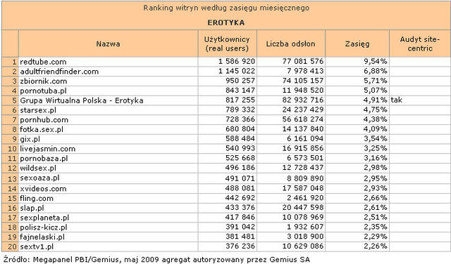 Megapanel: serwisy tematyczne V 2009