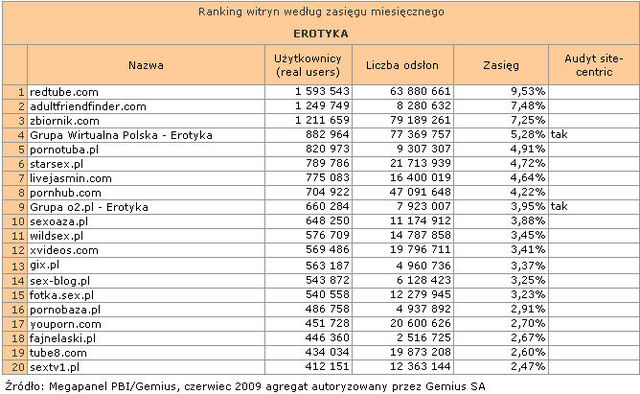 Megapanel: serwisy tematyczne VI 2009