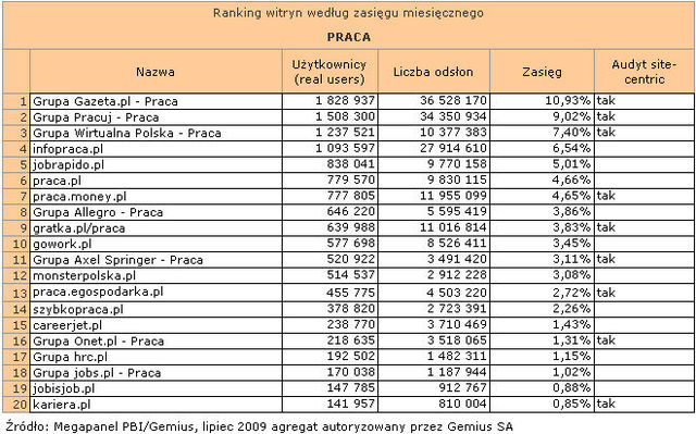 Megapanel: serwisy tematyczne VII 2009