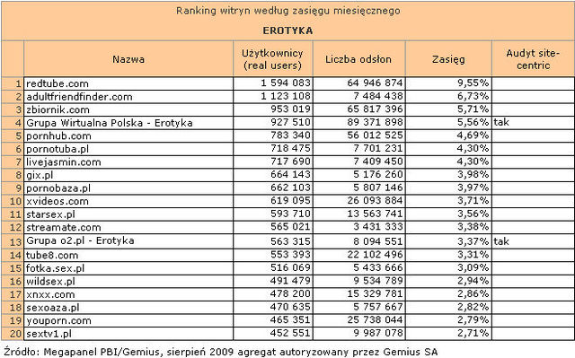 Megapanel: serwisy tematyczne VIII 2009