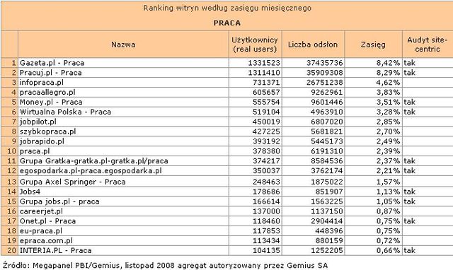 Megapanel: serwisy tematyczne XI 2008