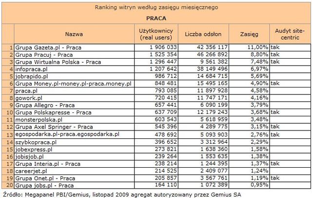 Megapanel: serwisy tematyczne XI 2009