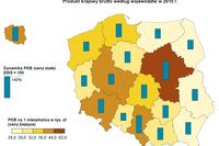 GUS o PKB w rachunkach regionalnych 2010