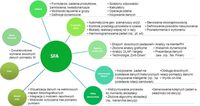 Schemat budowy systemu SFA
