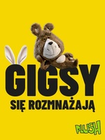 W Plush zmiany w ofercie abonamentowej