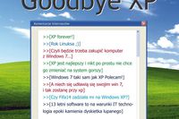 Polski Internet a koniec Windows XP