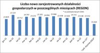 Liczba nowo zarejestrowanych działalności gospodarczych w poszczególnych miesiącach 