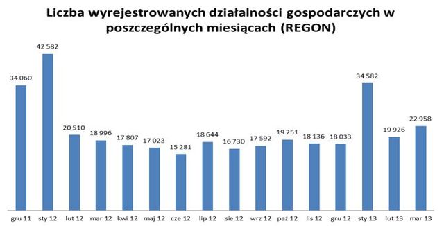 Rejestracja REGON III 2013