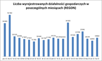 Liczba wyrejestrowanych działalności gospodarczych w poszczególnych miesiącach (REGON)