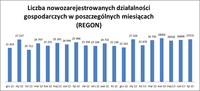 Liczba nowozarejestrowanych działalności gospodarczych w poszczególnych miesiącach (REGON) 