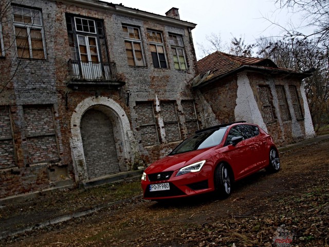 Seat Leon Cupra nieokiełznany jak kobieta