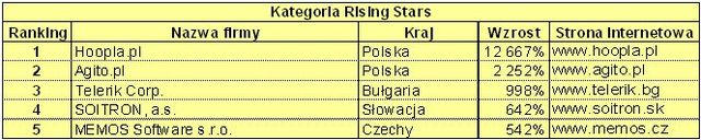 Polskie spółki najlepsze w Europie Środkowej 2007