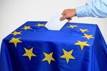 Wybory do PE. Poznaj eurosceptyków