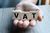 Biała lista podatników VAT: istotne zagrożenia dla firm