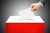 Wybory prezydenckie 2015 - Frekwencja wyborcza do godziny 17:00