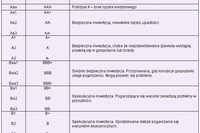 Agencje ratingowe straciły zaufanie inwestorów