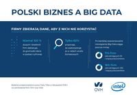 Polski biznes a Big Data