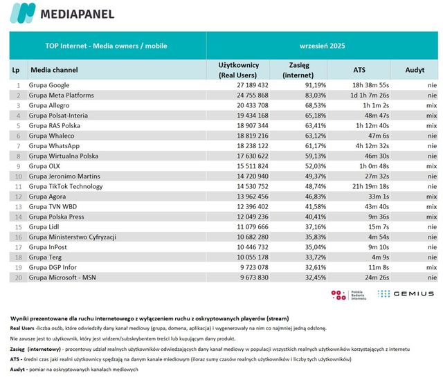 Badania internetu Gemius/PBI IX 2025