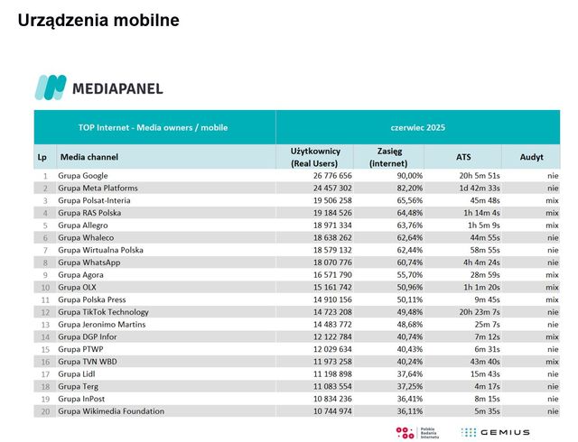 Badania internetu Gemius/PBI VI 2025