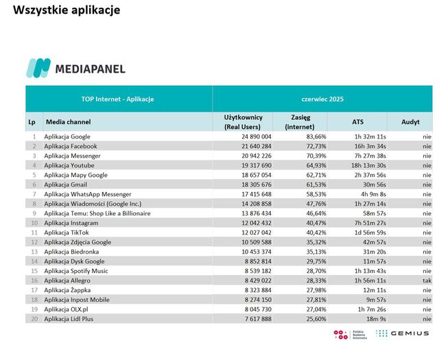 Badania internetu Gemius/PBI VI 2025