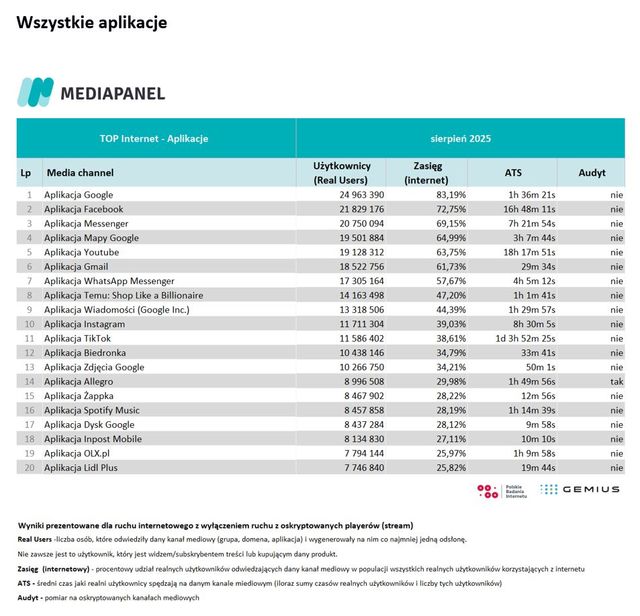 Badania internetu Gemius/PBI VIII 2025