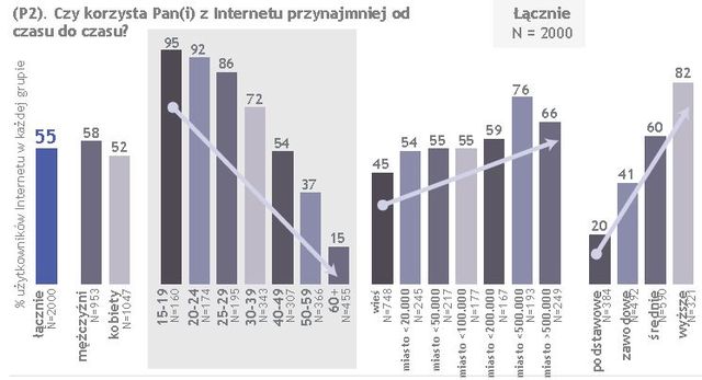 Polscy internauci 2010
