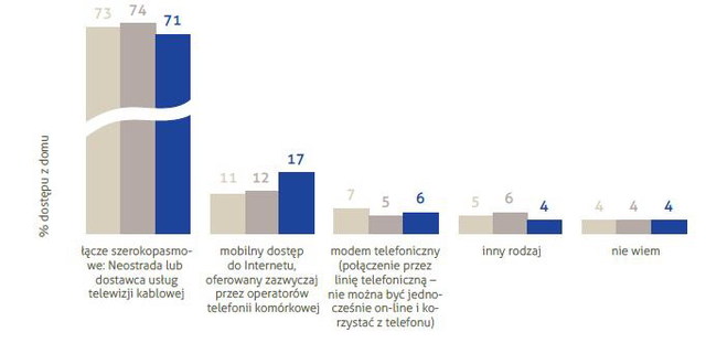 Polscy internauci 2012