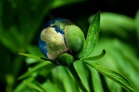 ESG w usługach finansowych ESG w usługach finansowych