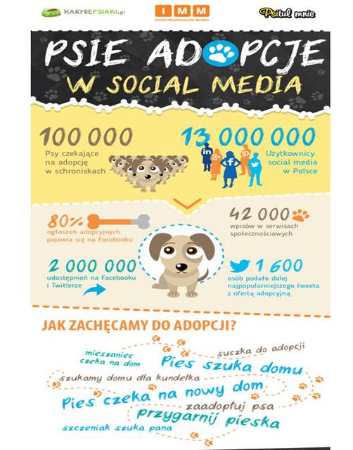 Psy znajdują dom dzięki social media