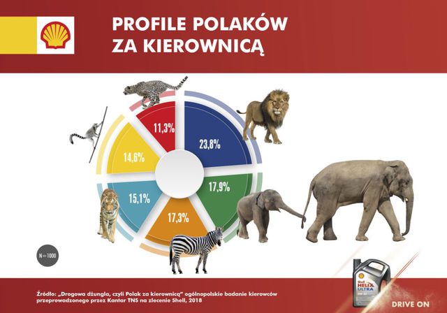 Lwy, słonie czy żyrafy? Jacy są polscy kierowcy?