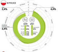 % internautów, którzy odwiedzili w 2013 r. strony lowcostowych przewoźników - Polska