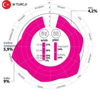 % internautów, którzy odwiedzili w 2013 r. strony lowcostowych przewoźników - Turcja