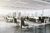 Open space czy modern office? Gdzie chcemy pracować?