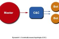 Sieci botnet: dochodowy interes