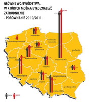 Główne województwa, w których było można znaleźć zatrudnienie 2010/2011