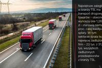 Branża TSL ma do spłaty 1,59 mld zł. Największe długi ma transport drogowy Branża TSL ma do spłaty 1,59 mld zł. Największe długi ma transport drogowy