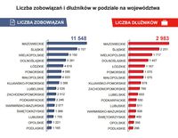 Liczba zobowiązań i dłużników w podziale na województwa