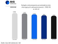 Zaległe zobowiązania przedsiębiorców oferujących zakwaterowanie