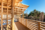 „Mieszkanie Plus” tchnie życie w drewniane budownictwo? 